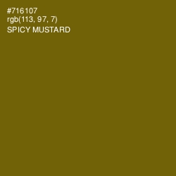#716107 - Spicy Mustard Color Image